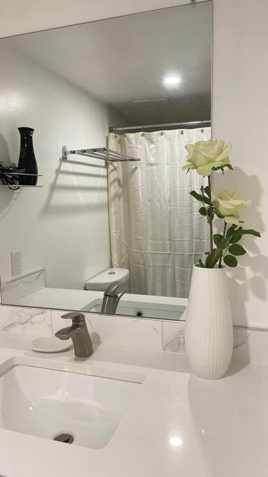 Unit #303 Mountain View 1Br In Canmore Downtown 外观 照片